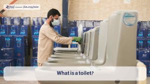 What is a toilet?